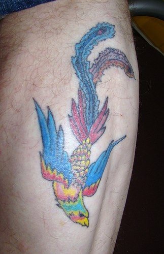 tatuagem fenix 1060