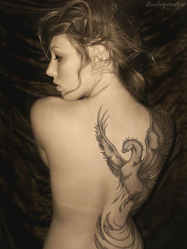 tatuagem ave fenix 01