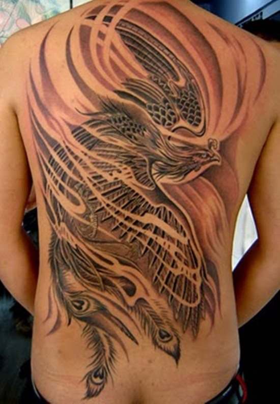 tatuagem ave fenix 08