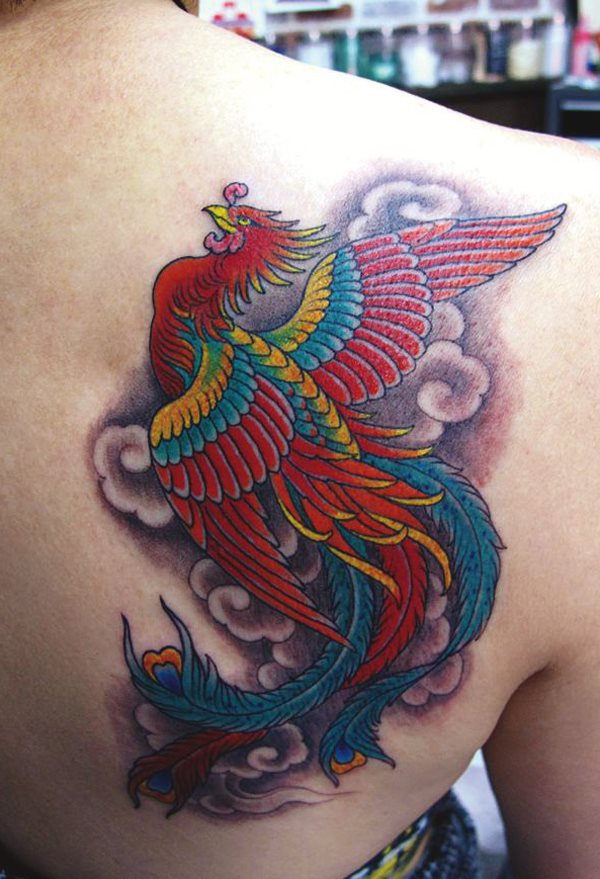 tatuagem ave fenix 09