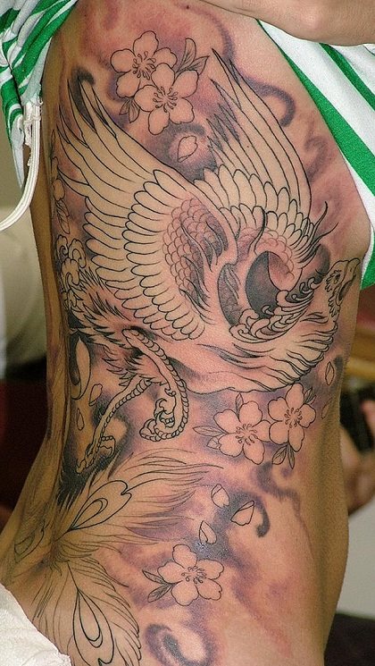 tatuagem ave fenix 11