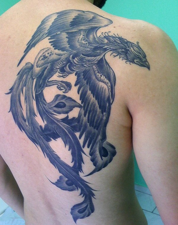 tatuagem ave fenix 14