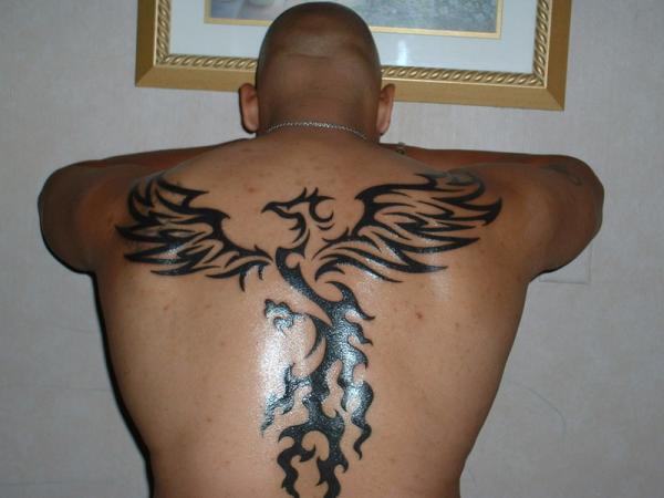 tatuagem ave fenix 25