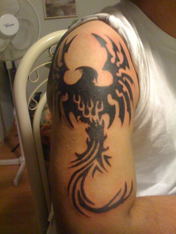 tatuagem ave fenix 29