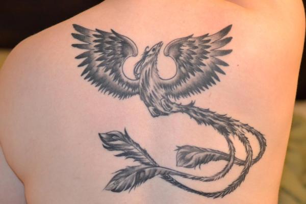 tatuagem ave fenix 49