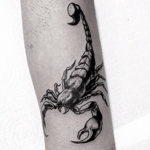 tatuagem signo escorpiao 21